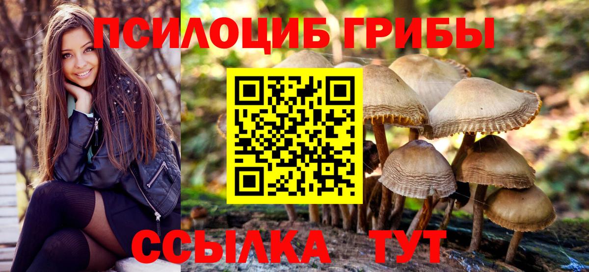 Переславль-Залесский  Галлюциногенные грибы мухоморы  Вход с VPN 